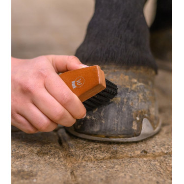 Cepillo duro para cascos de caballo Waldhausen