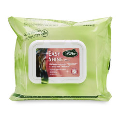 Easy Shine Ravene Wipe Easy Shine Ravene Wipe