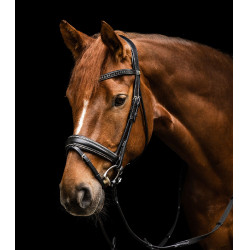 Brida Waldhausen S-Line Glamour Negro