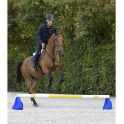 Bloque de obstáculos Cavaletti Waldhausen Azul