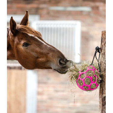 Juguete de heno para caballos Waldhausen Juguete de heno para caballos Waldhausen