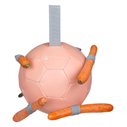 Pelota Waldhausen para zanahorias Linnea rosa
