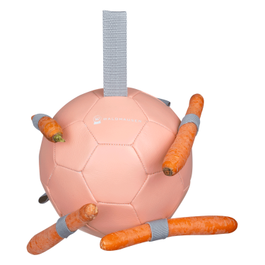 Pelota Waldhausen para zanahorias Linnea rosa