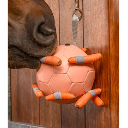 Pelota Waldhausen para zanahorias Linnea rosa