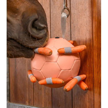 Pelota Waldhausen para zanahorias Linnea rosa
