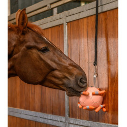 Pelota Waldhausen para zanahorias Linnea rosa