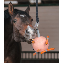 Pelota Waldhausen para zanahorias Linnea rosa