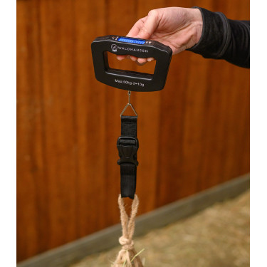 Balanza Waldhausen manual digital Negro