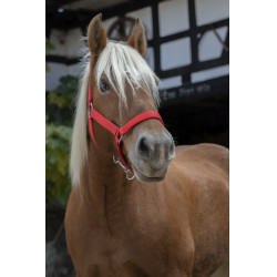 Cabezada para caballo de tiro Norton Pro Cabezada para caballo de tiro Norton Pro