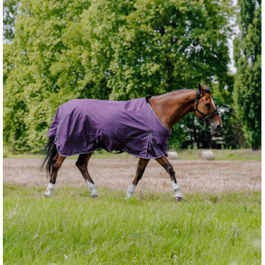 Manta EQUITHÈME - TYREX Aisance 600D Ciruela Violeta Manta EQUITHÈME - TYREX Aisance 600D Ciruela Violeta