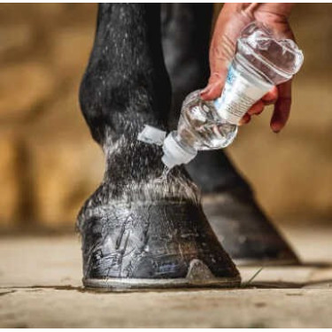 Aceite impermeable para cascos de caballo