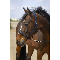 Cabezada de cuadra equitación con strass EQUITHÈME