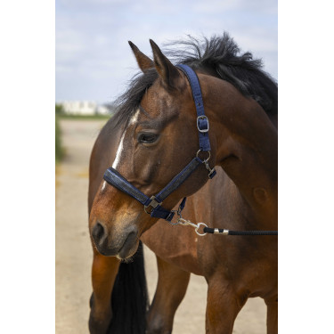 Cabezada de cuadra equitación con strass EQUITHÈME