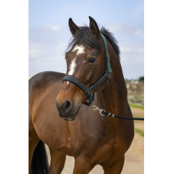 Cabezada de cuadra equitación con strass EQUITHÈME