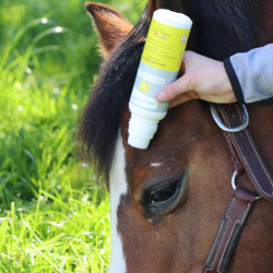 Repelente para caballos con cepillo LPC Espace Brush Repelente para caballos con cepillo LPC Espace Brush