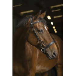 Side-pull Norton Pro Confort Side-pull Norton Pro Confort