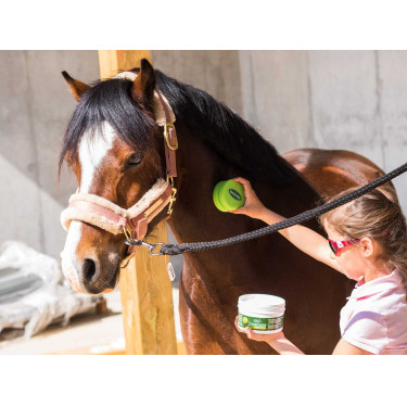 Émouchine Protec Gel RAVENE, bote + esponja