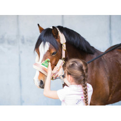 Gel repelente natural para caballos sensibles