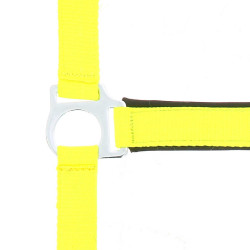 Cabezada de equitación fluo con neopreno Norton Cabezada de equitación fluo con neopreno Norton