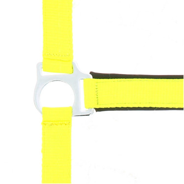 Cabezada de equitación fluo con neopreno Norton Cabezada de equitación fluo con neopreno Norton
