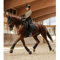 Mantilla Phoenix Waldhausen