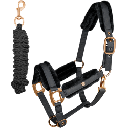 Set de cabezadas Phoenix Waldhausen