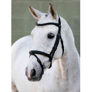 Brida Arika Flash LeMieux