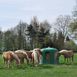 Comedero Hexagonales RPE GM La Gee