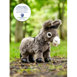 Mini Poni LeMieux Donkey daphne Burro Daphne Blanco