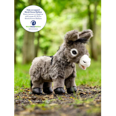 Mini Poni LeMieux Donkey daphne Burro Daphne Blanco