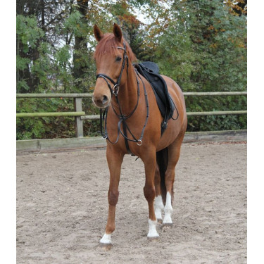 Martingala para equitación Star, resistente y fina