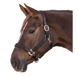 Cabezada de equitación Star Mix ajustable