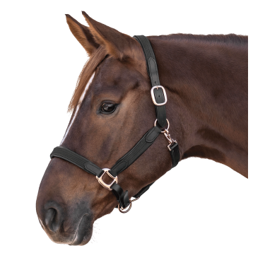 Cabezada de equitación Star Mix ajustable