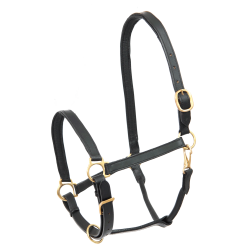 Cabezada de cuero para equitación Star Robust