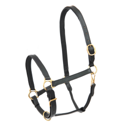 Cabezada de cuero para equitación Star Robust