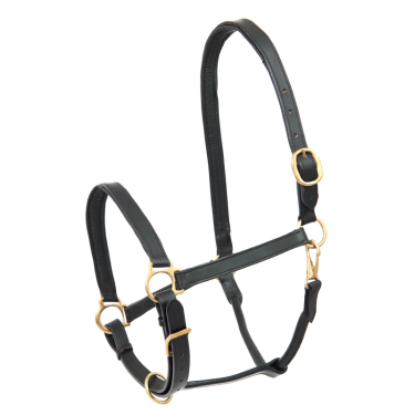 Cabezada de cuero para equitación Star Robust