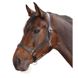 Cabezada de equitación Star Diamond de cuero
