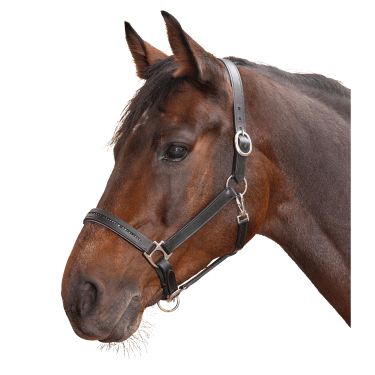 Cabezada de equitación Star Diamond de cuero