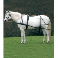 Arnés Star simple Economic de cob a caballo grande Negro