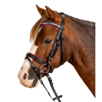 Bridon Star Pinky Negro