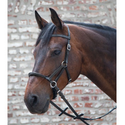 Brida sin bocado Linda Tellington-Jones Negro