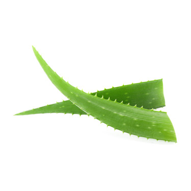 Spray hidratante equino con aloe vera 2,5 L Spray hidratante equino con aloe vera 2,5 L
