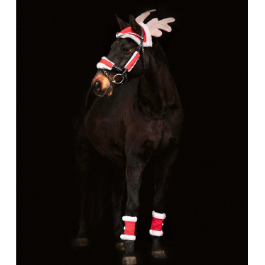 Accesorios navideños para caballo Waldhausen