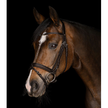 Brida de equitación Waldhausen X-Line Charmbit