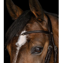 Brida de equitación Waldhausen X-Line Charmbit
