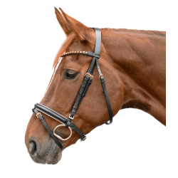 Brida de equitación Star oro rosa con riendas