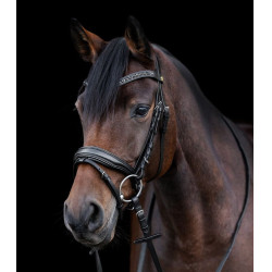 Brida de equitación Waldhausen S-Line Blackshine pull back