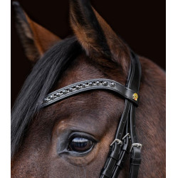 Brida de equitación Waldhausen S-Line Blackshine pull back