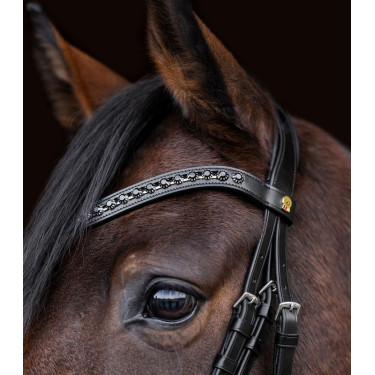 Brida de equitación Waldhausen S-Line Blackshine pull back