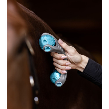 Rodillo de masaje equino Waldhausen | Equi-Clic